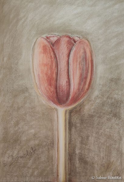 Tulpe - Pastellkreide - 50 x 70 cm